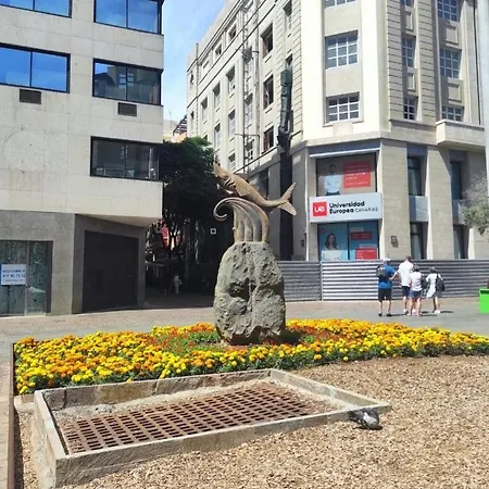 Apartamento En La Mejor Zona De Cruz Appartement